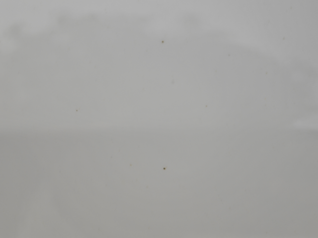 买了一个月的车
今天第一次洗，发现有很多锈点，可以自己买抛光蜡处理吗？如果不管它