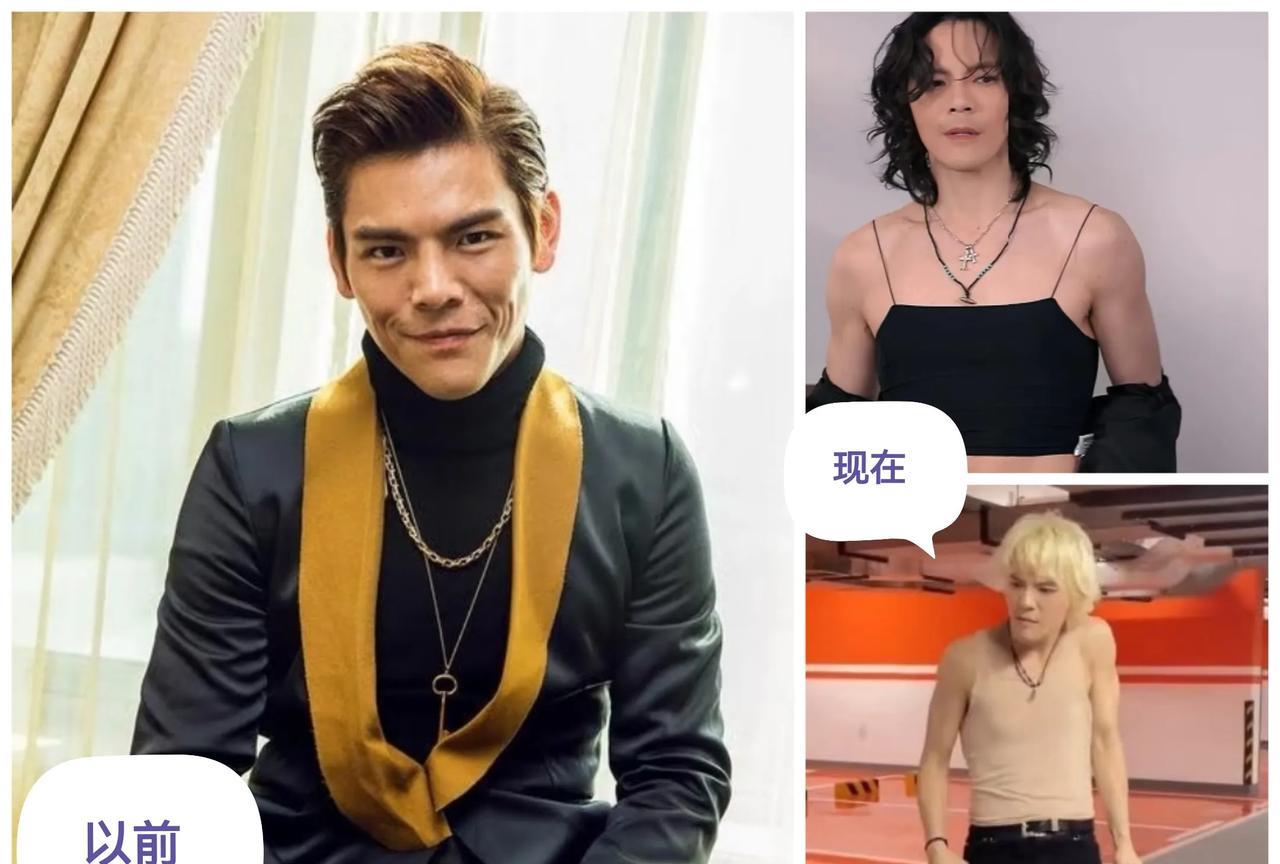 谁能告诉我向佐为什么越来越颠了？
以前拍那些武打片说不上帅但起码男人，现在这风格