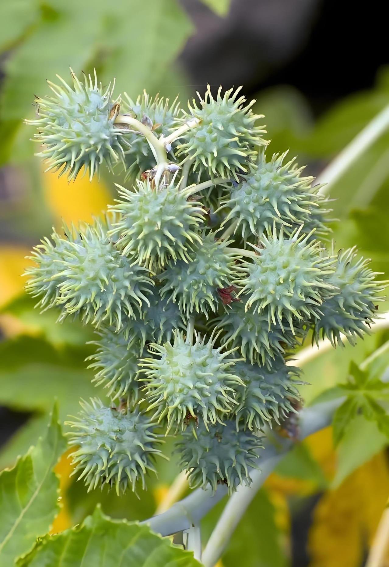 人不像韭菜，韭菜割了一茬不久就能再长出来，而人的生命只有一次，失去了就永远失去了