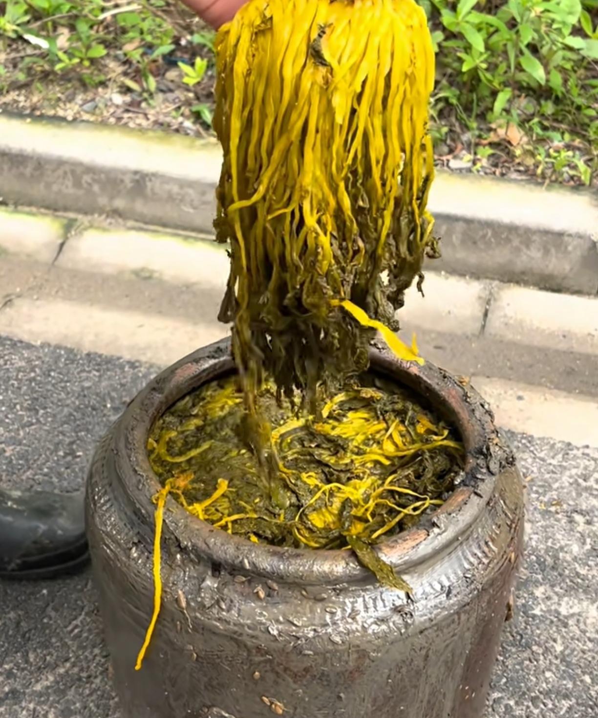 小时候的盐菜很香，直接拿出来就可以吃，把煮好的肉放放盐菜的坛子里，肉都是香的，怀