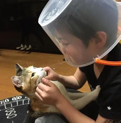 倔强的孩子，戴上塑料碗继续养！