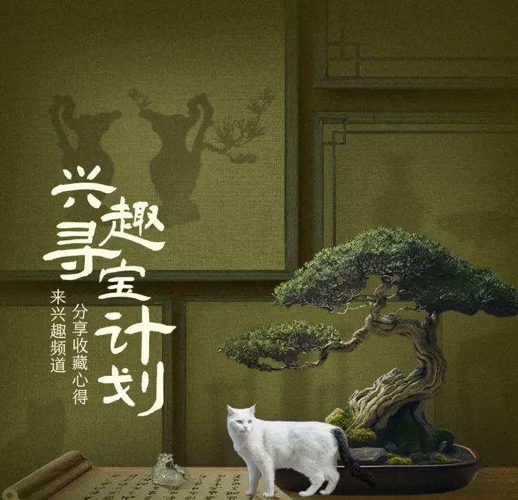 大马士革政权更迭后的新希望                           