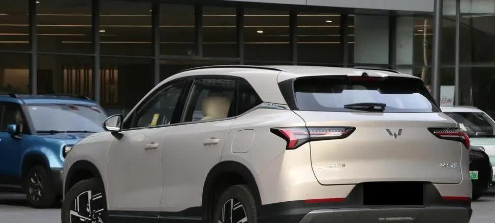 震惊到了！

比亚迪：2023年已经停产燃油车  
长安汽车：2025年停