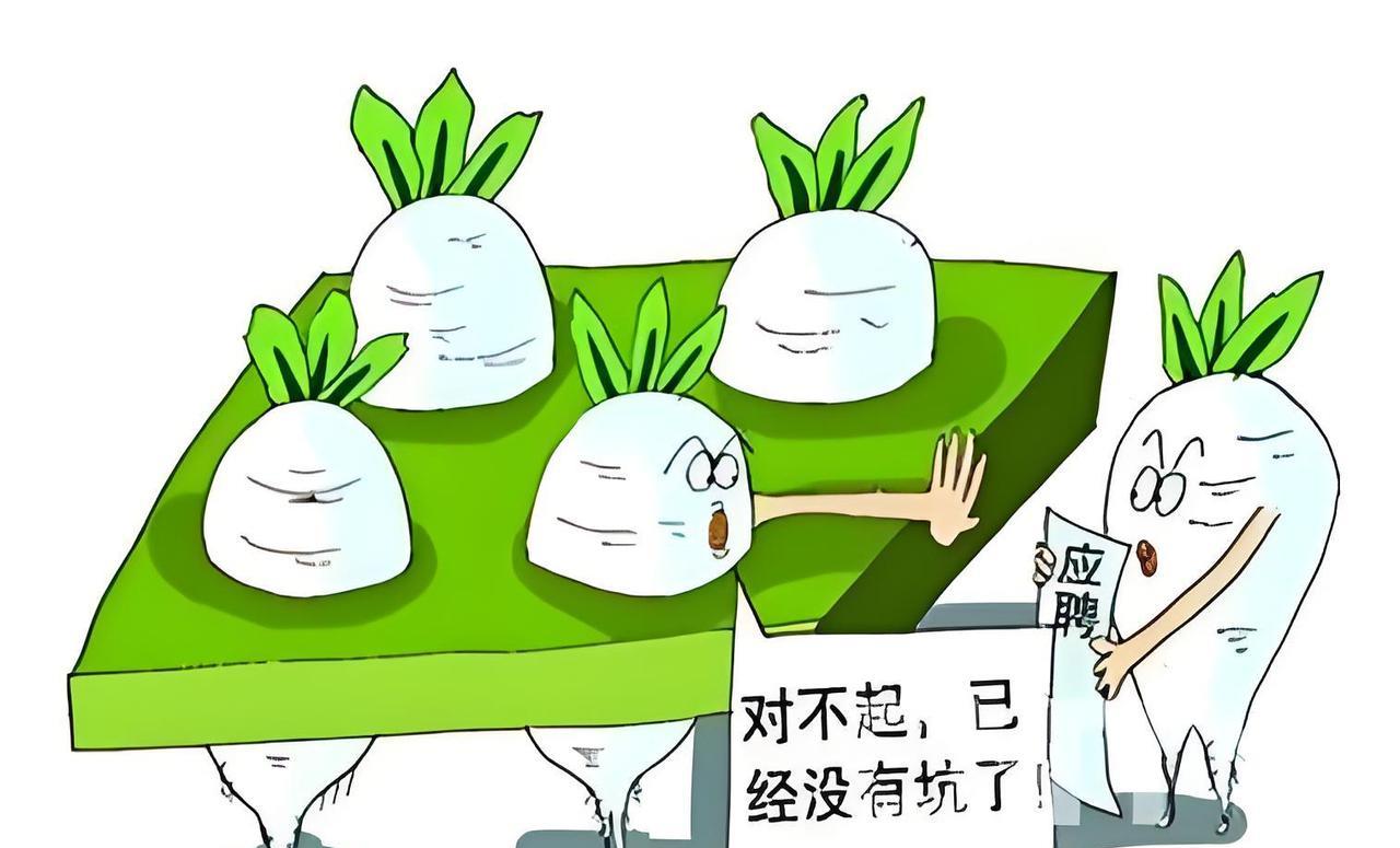 什么是公务员