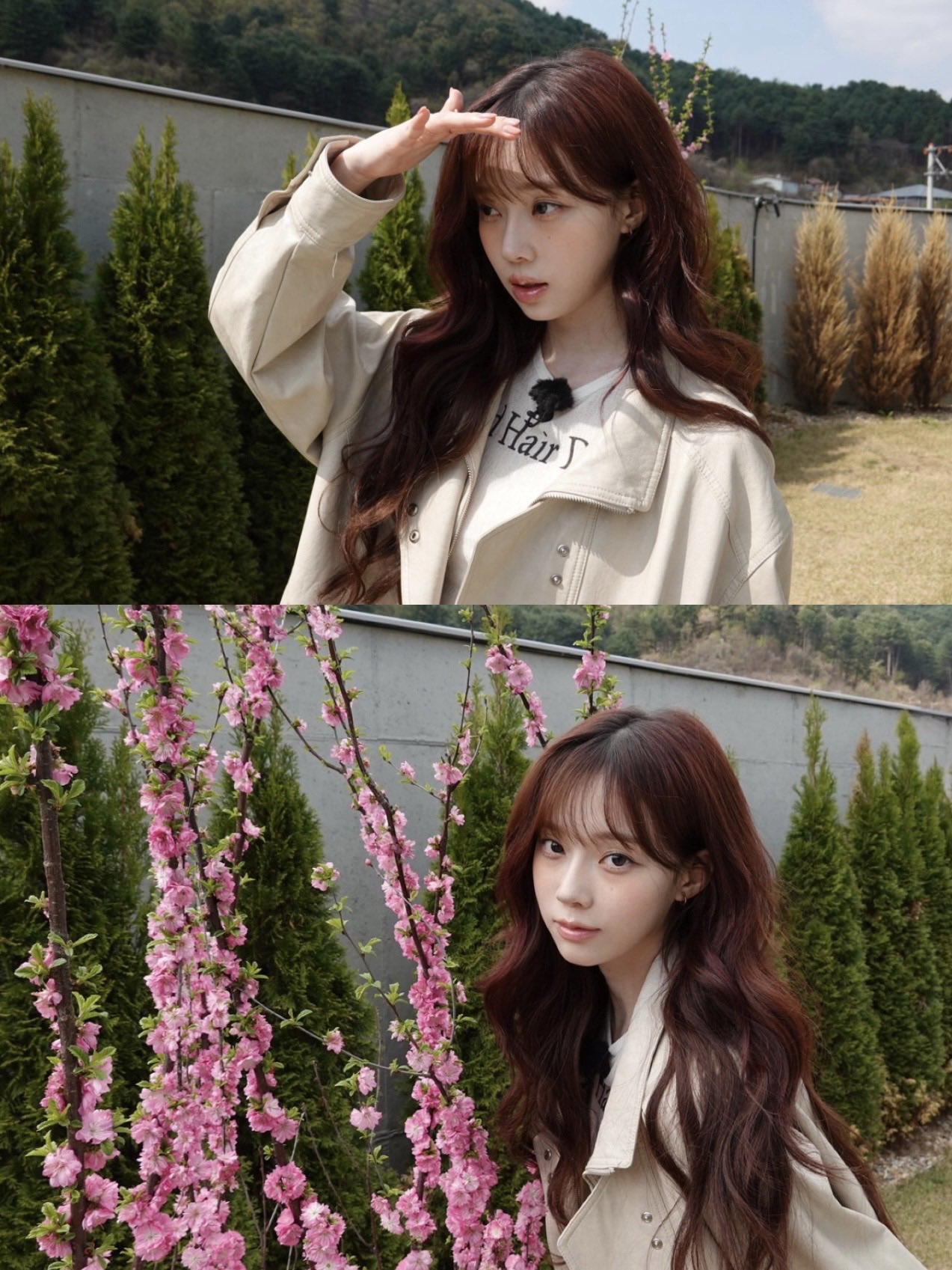 生活好像不该这样，但又只能这样