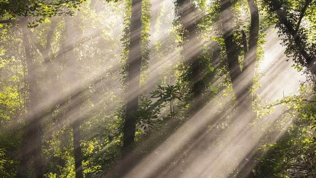 FSC认证格拉辛纸袋电子元件服装三边封防油防水袋可定制LOGO印刷