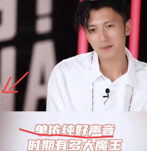 谢霆锋对单依纯真的很特别！
回放了当年好声音，镜头中谢霆锋提到单依纯就会不一样，