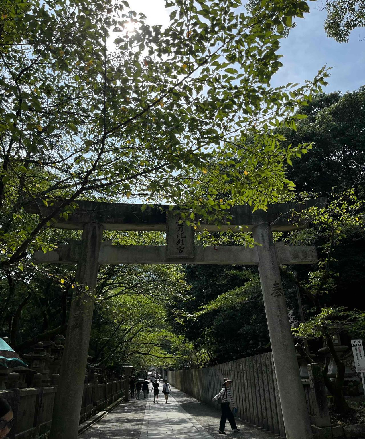 柯南粉会喜欢，金毗罗剧场魅影同款
据说这是日本“最难参拜”的金刀比羅神社了
高松