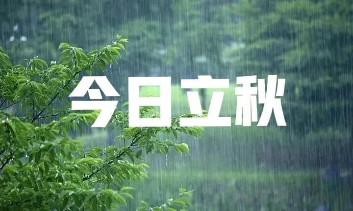 今日立秋，撞上天赦日，下雨好还是不好？答案来了
今天好凉快啊，这是进入到7月份以