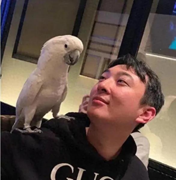 跌落神坛的“国民老公”
从'我交朋友从不看钱'的狂言到被法院追债1.5亿，王思聪