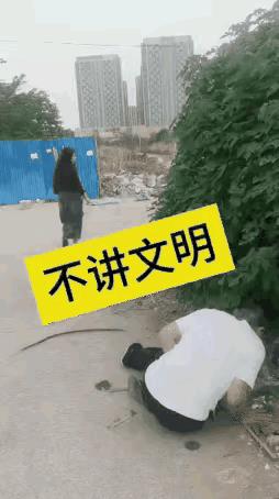 一个不文明，一个伤害打击
其实两者都是不对的，都要接受批评教育才对。
