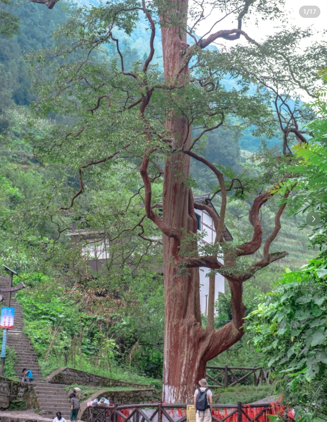 反向冷门旅游，成都高铁2小时的松弛小城