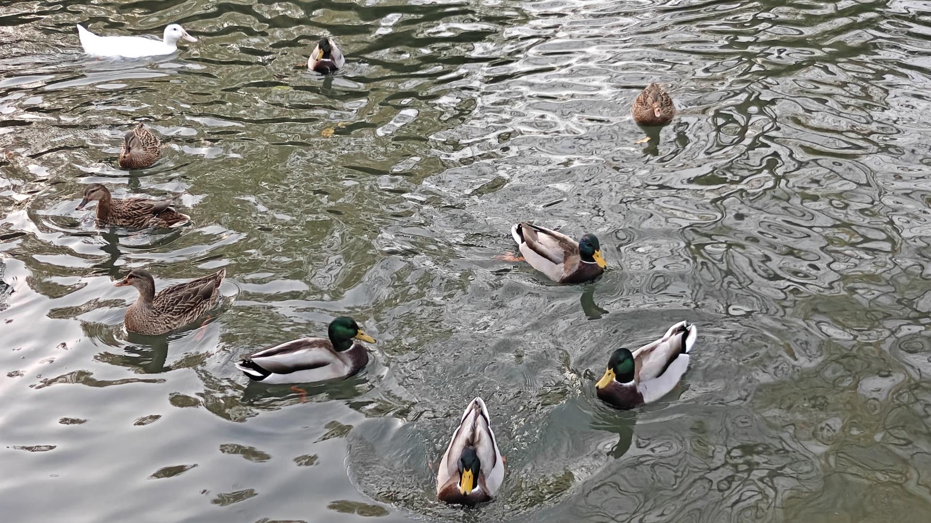 电子游戏伴我成长——一个中年大叔的电游记忆