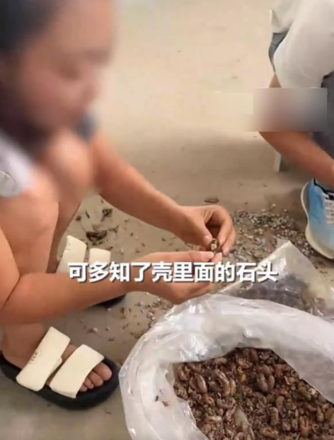 扎心了！女子高价收“知了壳”，竟是半袋石子！网友炸锅：善良又被利用了？