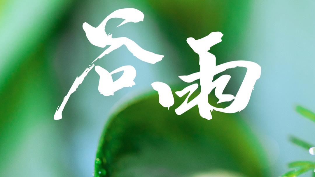 雨生百谷时，万物正葱茏