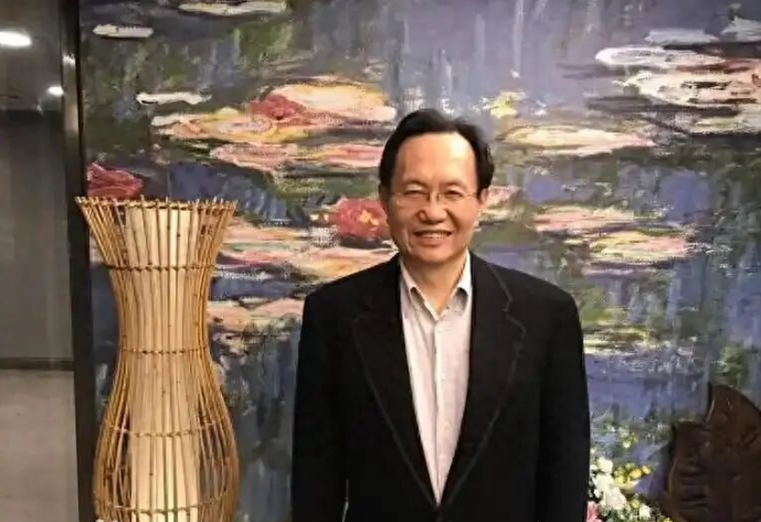 【又一人宣布参选国民党主席：当选后将努力维护两岸和平】

国民党主席选举参选者众