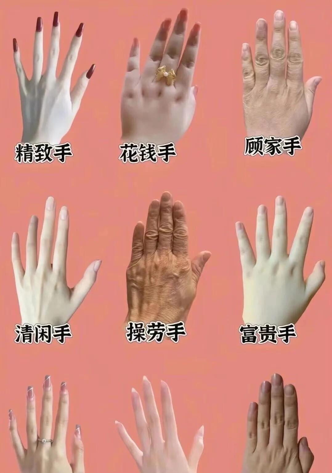 伸手看命运！
从爱花钱却财运旺的“花钱手”，
到文艺满分的“文学手”，
每种手型