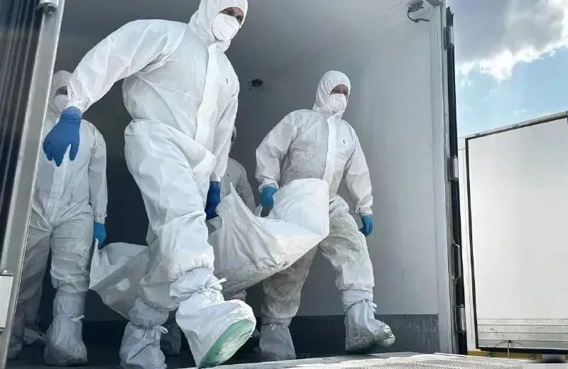 泽连斯基后槽牙估计都咬碎了。俄罗斯准备再向乌克兰移交3000具乌阵亡士兵遗体。就
