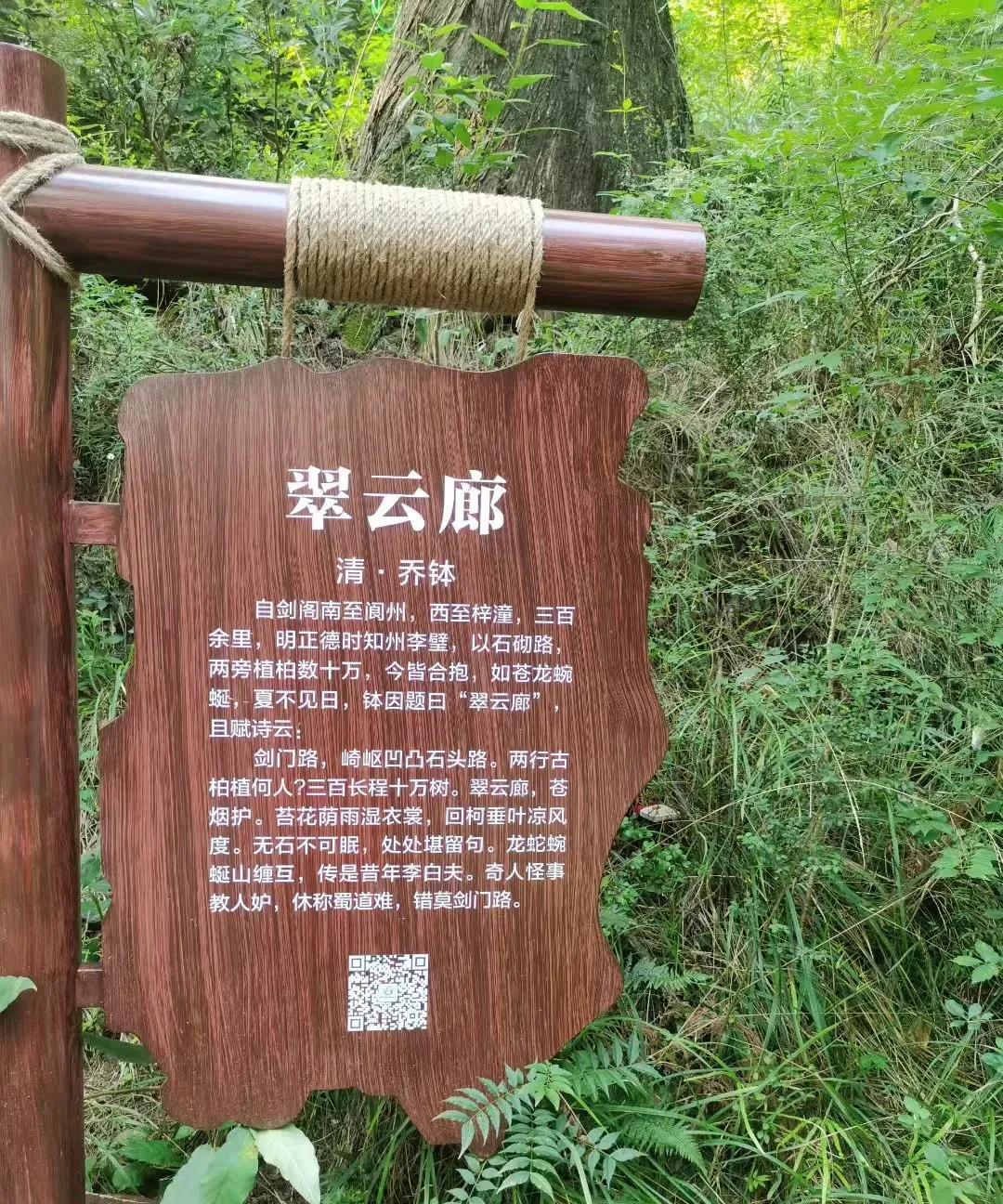 走完翠云廊才知道，原来树木也要打点滴，除了营养液还要打救心丸。#晒图笔记大赛#