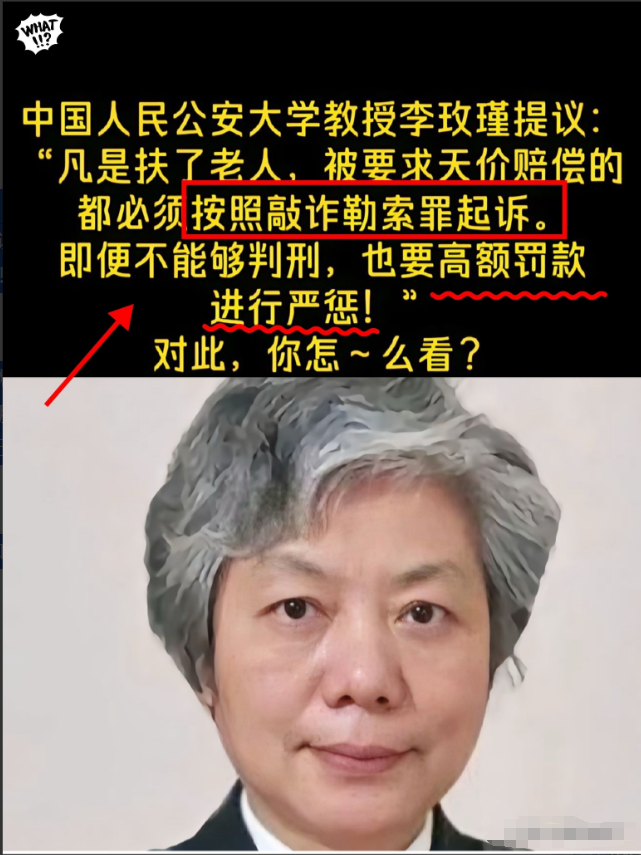 终于有人站出来了，2024年，中国人民公安大学李玫瑾建议：凡是扶了老人被要求天价