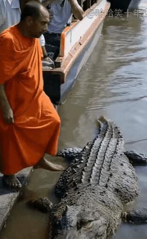 这样的画面，以前连做梦都不可能梦到，现在却都展现在我们的面前，也不知道是现在的人