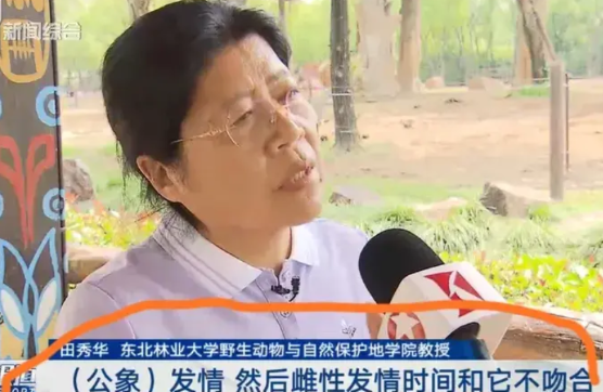这事儿总算整明白了！上海野生动物园那档子象群