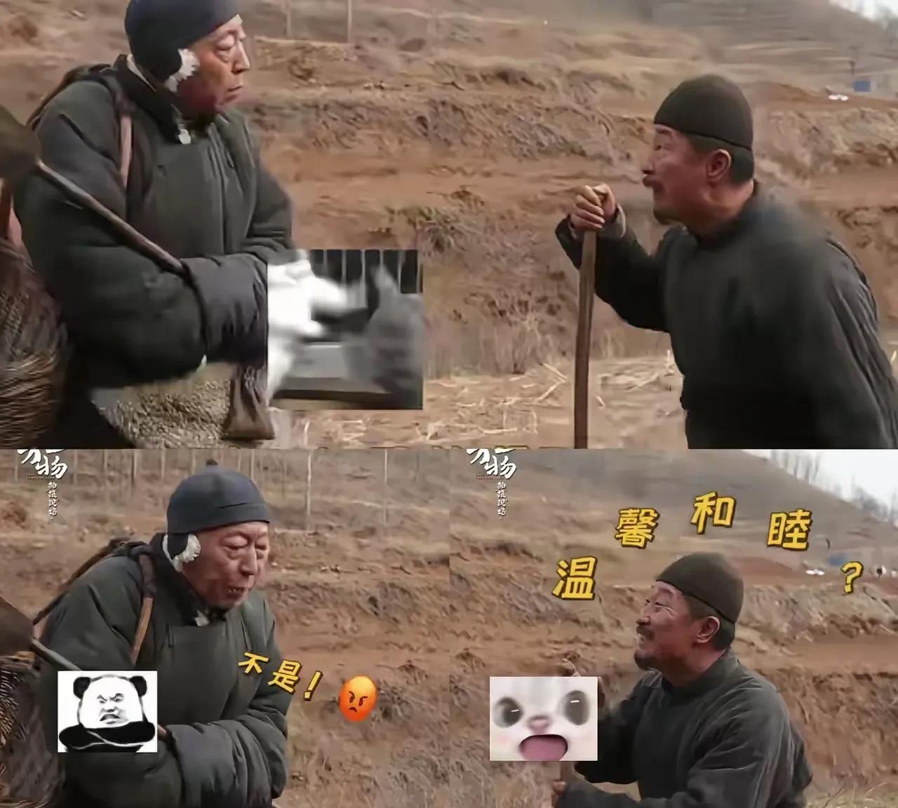 估计杨幂没有想到，  
欧豪也没有想到，  
《生万物》这部剧，先出圈的不是他们