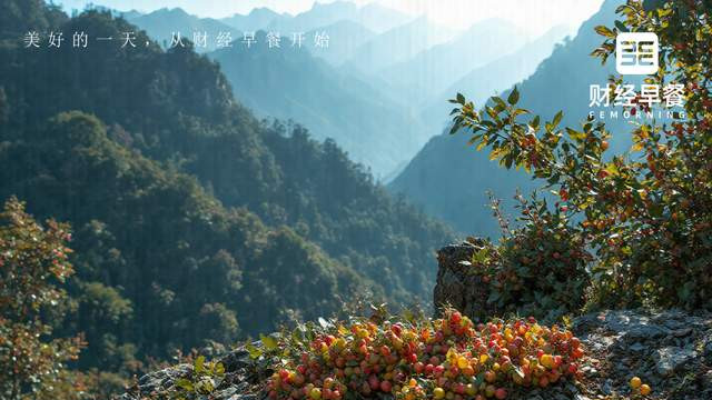 8个一字板，胜通能源这是要复刻上纬新材的剧本？