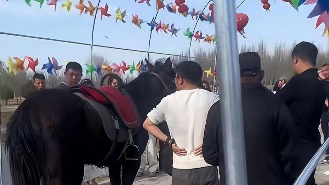 七里河湿地公园惊魂：马撞人，女孩ICU抢救，谁之过？