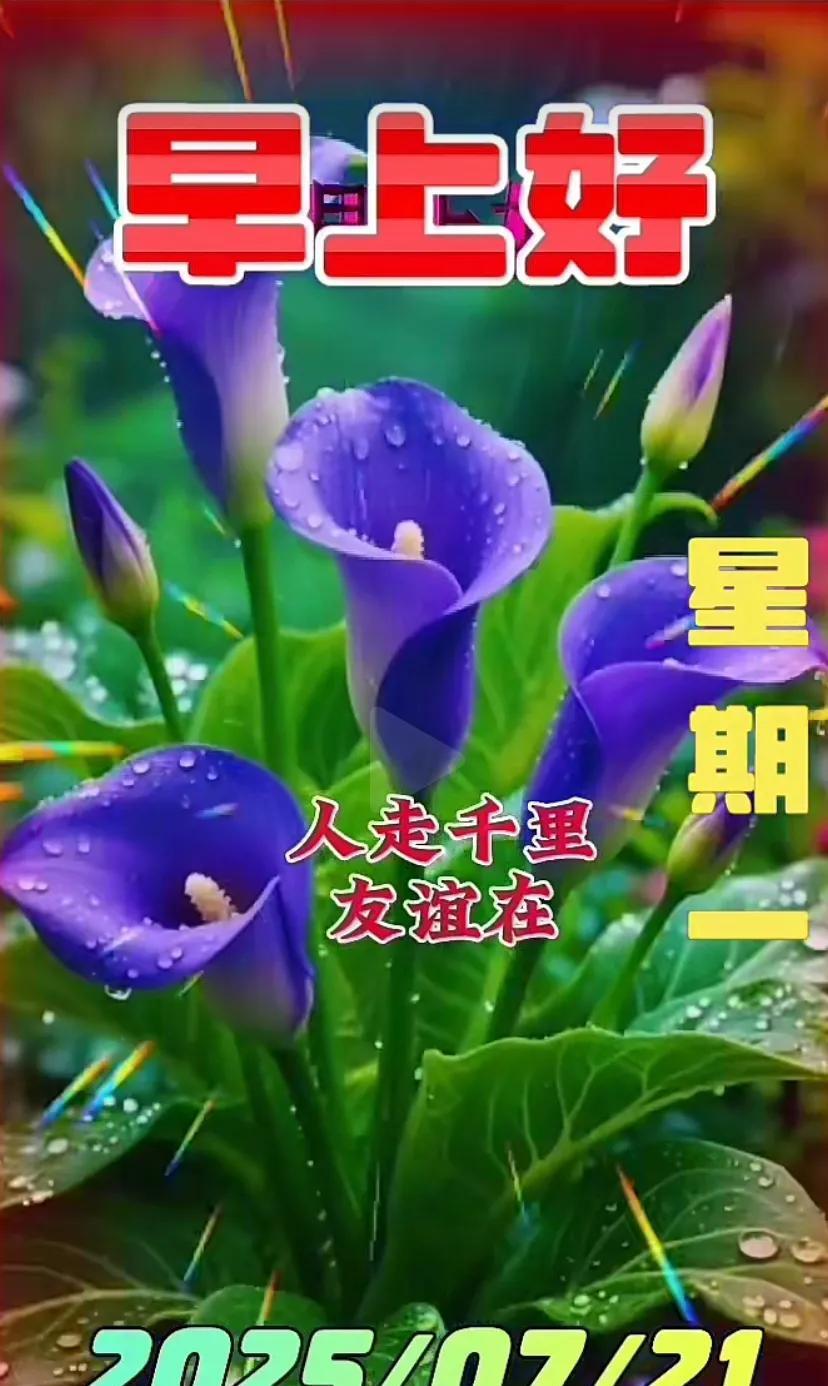 快乐过好每一天！