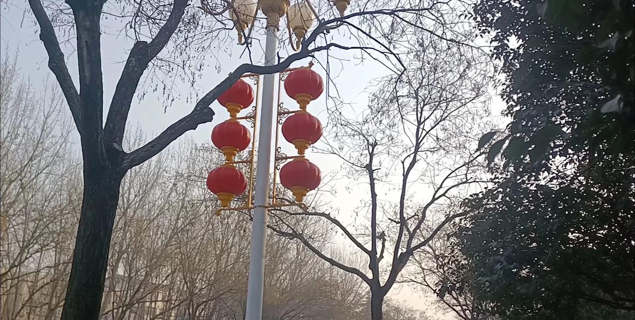 长辈食堂
        张金凤老师，利用东平县斑鸠店镇东塘子村闲置的幼儿园，做