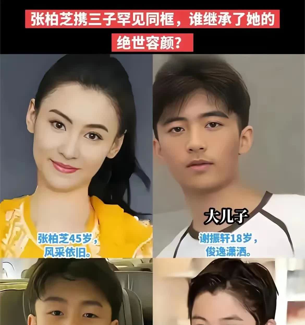 张柏芝和她的三个儿子，三个儿子眉毛和眼镜都比较像她。
大儿子和二儿子和谢霆锋太