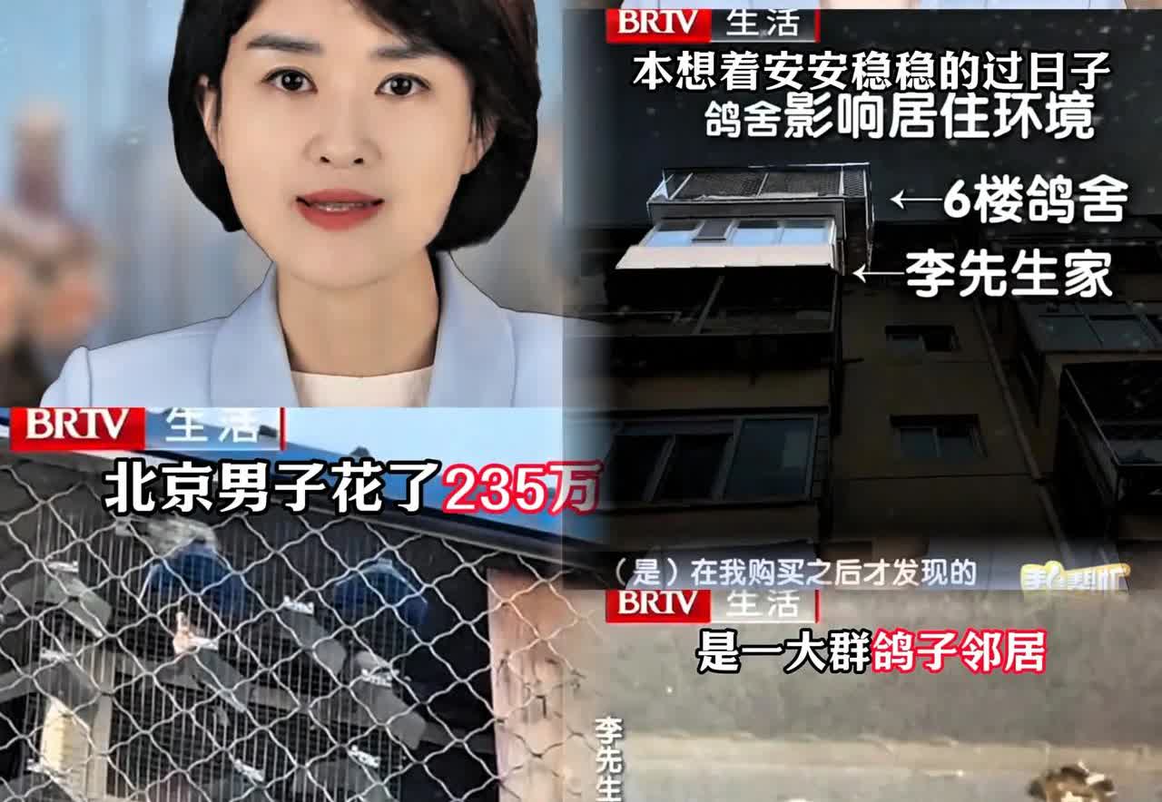 北京一男子掏空积蓄买235万的房，本以为是幸福起点，却被楼上邻居200多只鸽子搅
