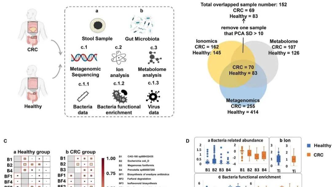 论文解读| Shuwen Han/Jing Zhuang教授团队揭示结直肠癌患者肠道微生物-代谢物-