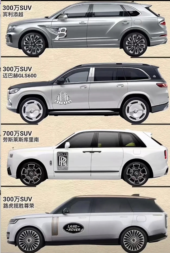 国产什么时候能有一席之地啊。