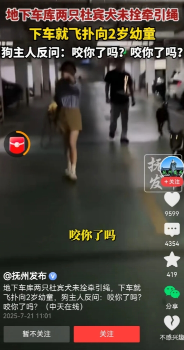 江苏镇江地下车库一2，两只杜宾犬引发的网络热议，连地方官网都看不下去了。我查了一