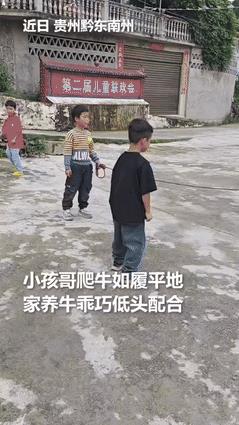 “真通人性啊！”贵州，一小孩牵着牛准备回家时，突然被一位男孩拦了下来，他想爬到牛
