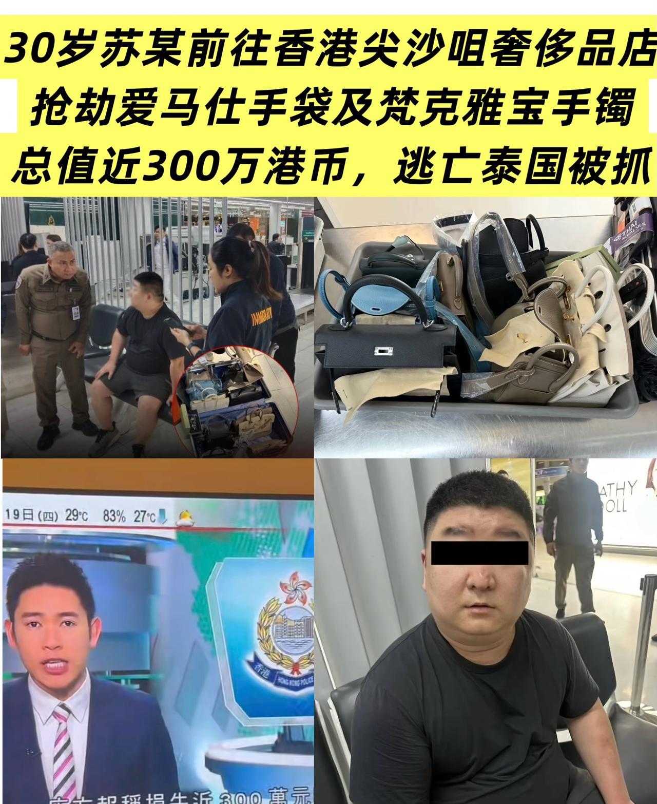 在香港尖沙咀奢侈品店抢劫爱马仕手袋和梵克雅宝手镯的苏某在泰国落网，30岁内地男子