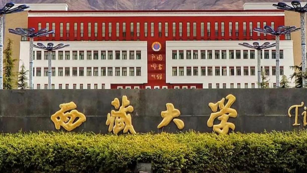 如果被这4所211录取，将来根本不愁就业，一只脚已踏入体制大门！