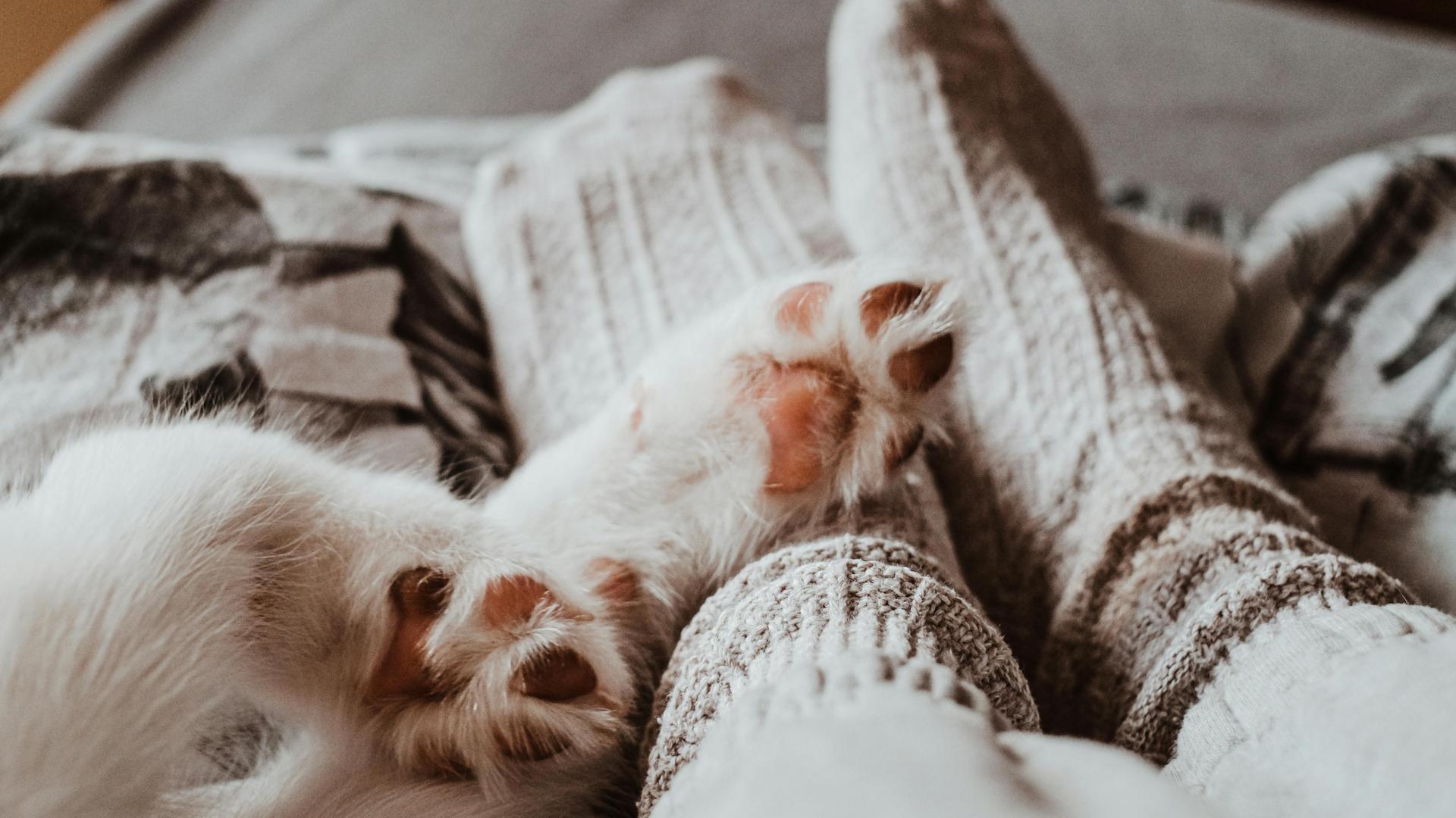 安遇情感是做什么的：别再卑微挽回，教你3招攻心计，让前任倒追你！！！