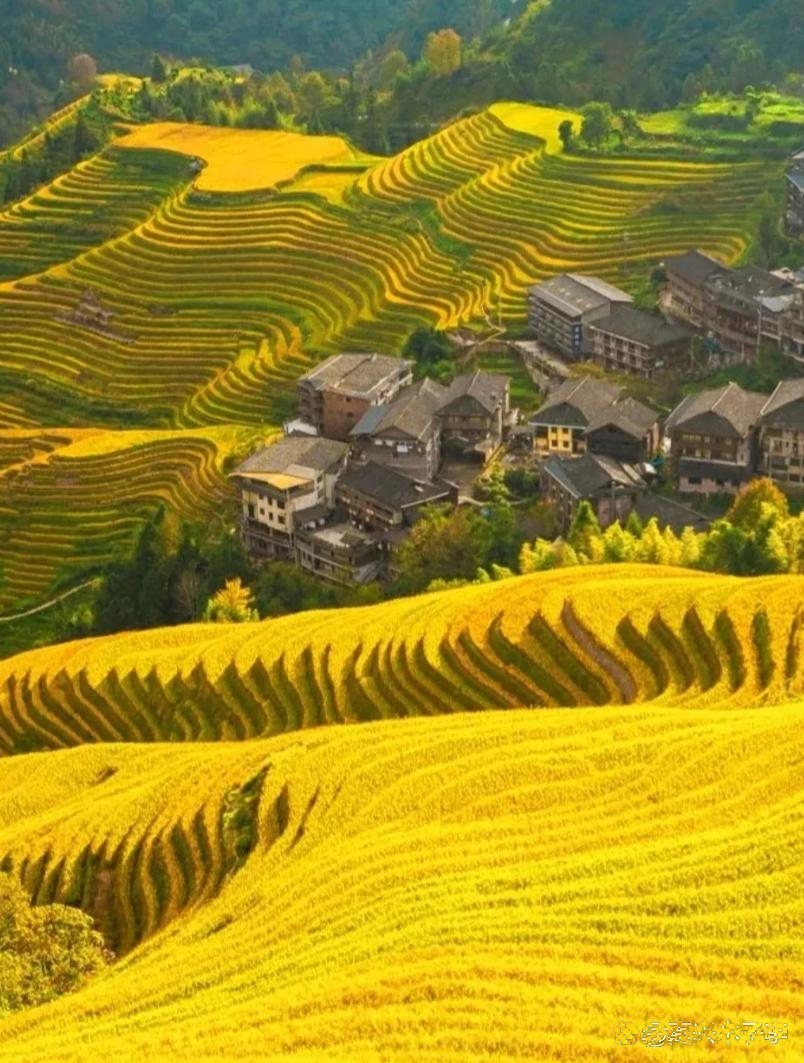 中国家庭收入等级

一.巨富:年收入8000万以上

二.豪富:年收入1500万