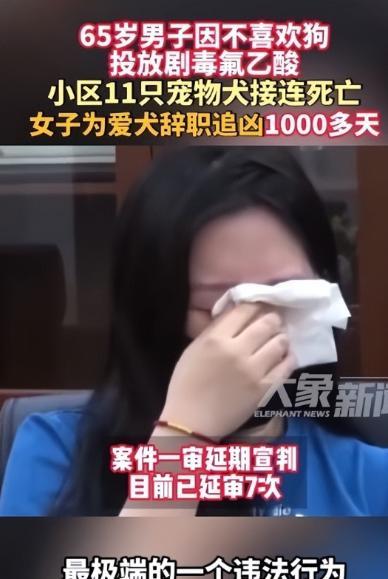 太执着了，北京一名女子因宠物狗被毒死，辞职寻找凶手！6月19日，这起案件已经延期
