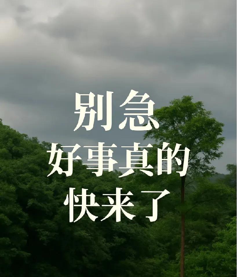 别急！
好事真的…
快来了！
别低头！你熬过的苦、咽下的累，都在悄悄铺成花路。那