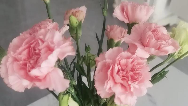 当“清醒”成为爱情的裹尸布：你是在爱，还是在精算成本？