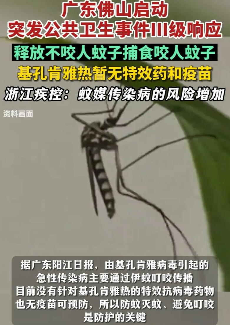 解释不清了！广东，为了应对基孔肯雅热，中山大学的副教授带着学生团队，跑到佛山，往