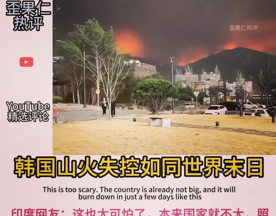 韩国山火烧死二十多人











天呐！韩国的山火已经烧了六天，死了二