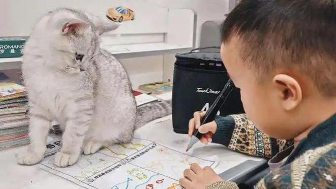 萌娃把猫狗塞书包，开学首日被叫家长，爸爸一句“习惯了”透无奈