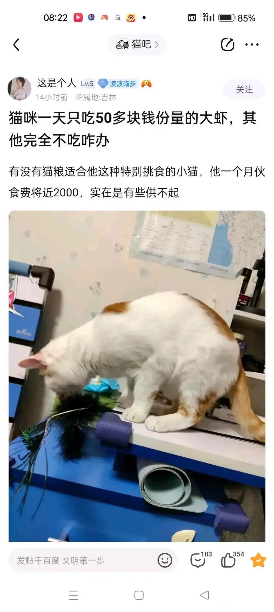 要不要这么离谱？你饿他几天试试？我都舍不得吃虾