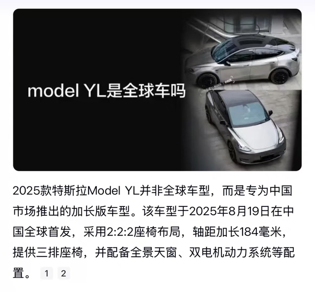 model YL可能不适当你！！！
model YL，一款针对中国市场推出的车型