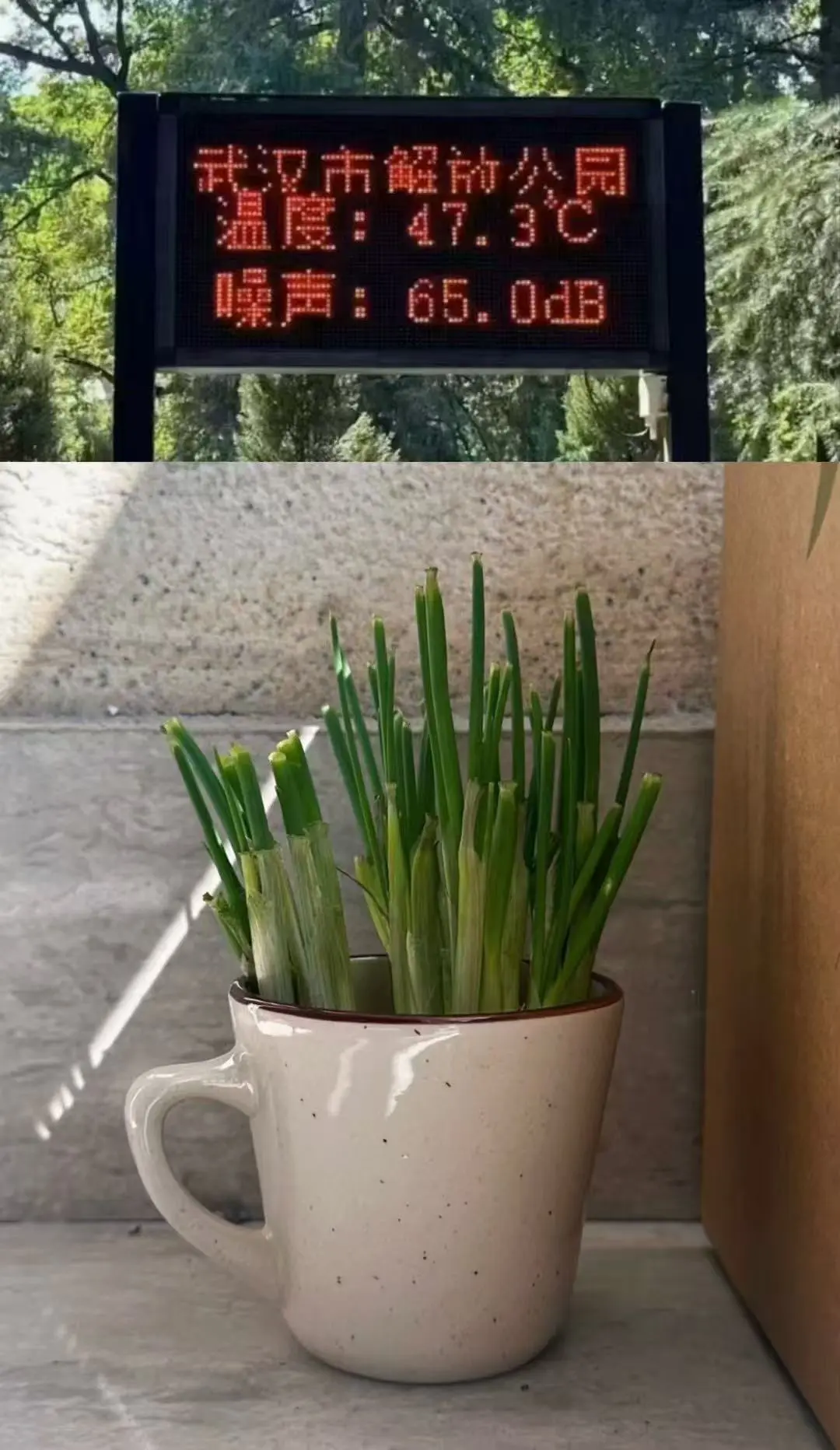 武汉能有这么热吗？有没有武汉的